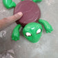 Funny Turtle Coaster